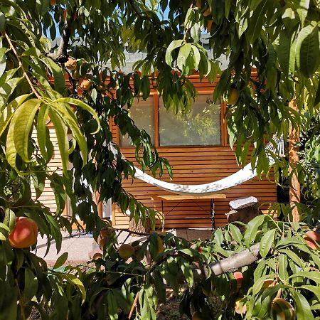 Relax Eaza - Casa Cu Hamac Villa Констанца Екстериор снимка