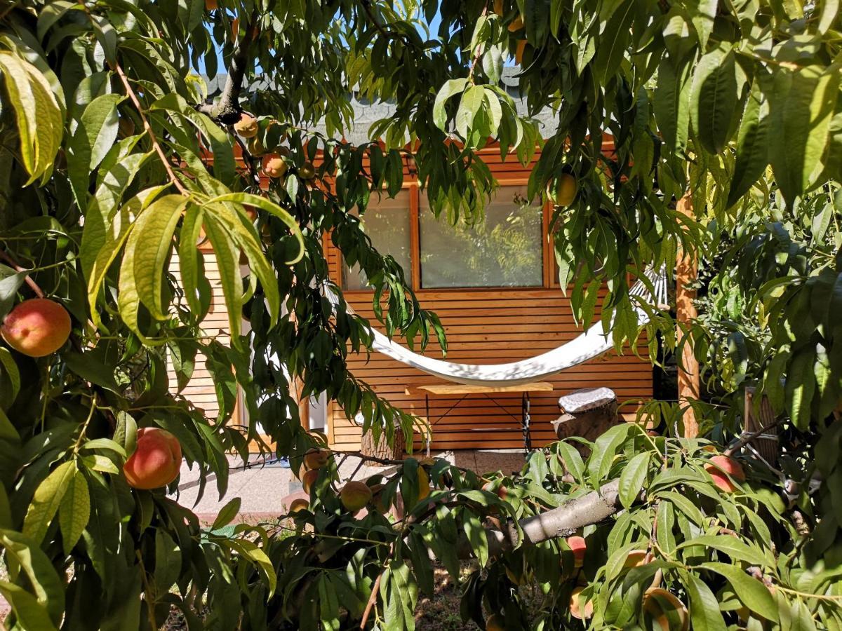 Relax Eaza - Casa Cu Hamac Villa Констанца Екстериор снимка