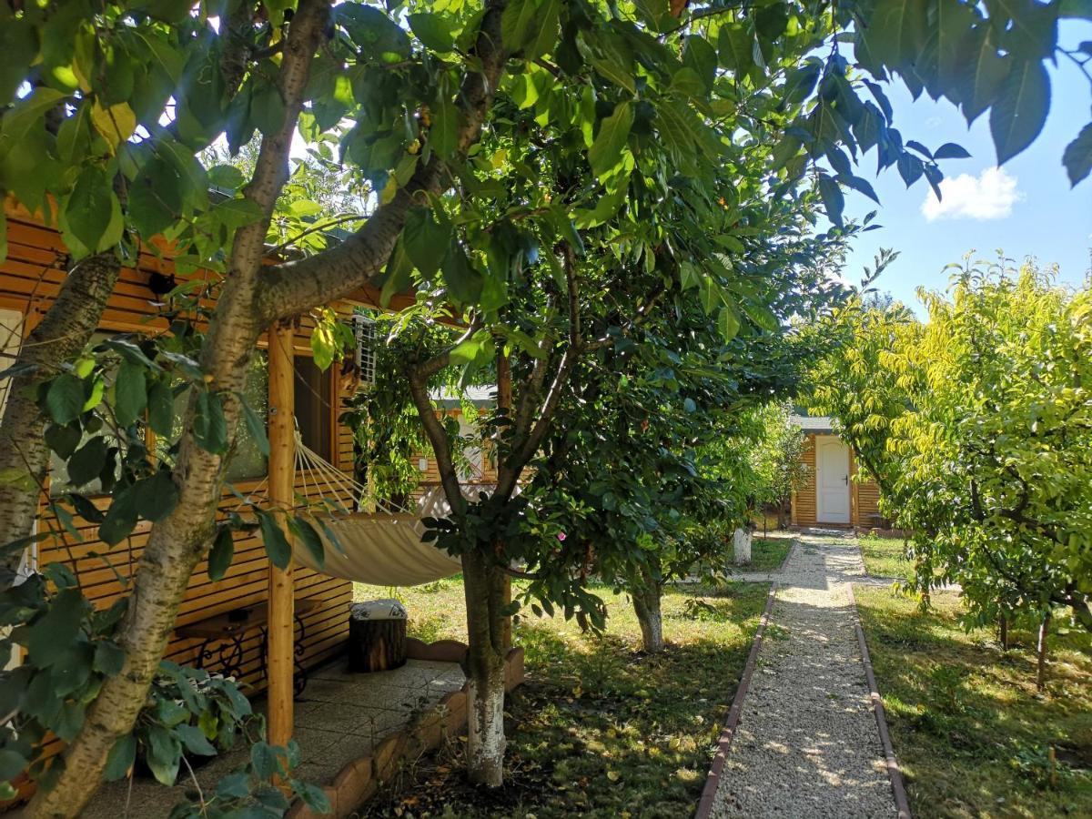Relax Eaza - Casa Cu Hamac Villa Констанца Екстериор снимка